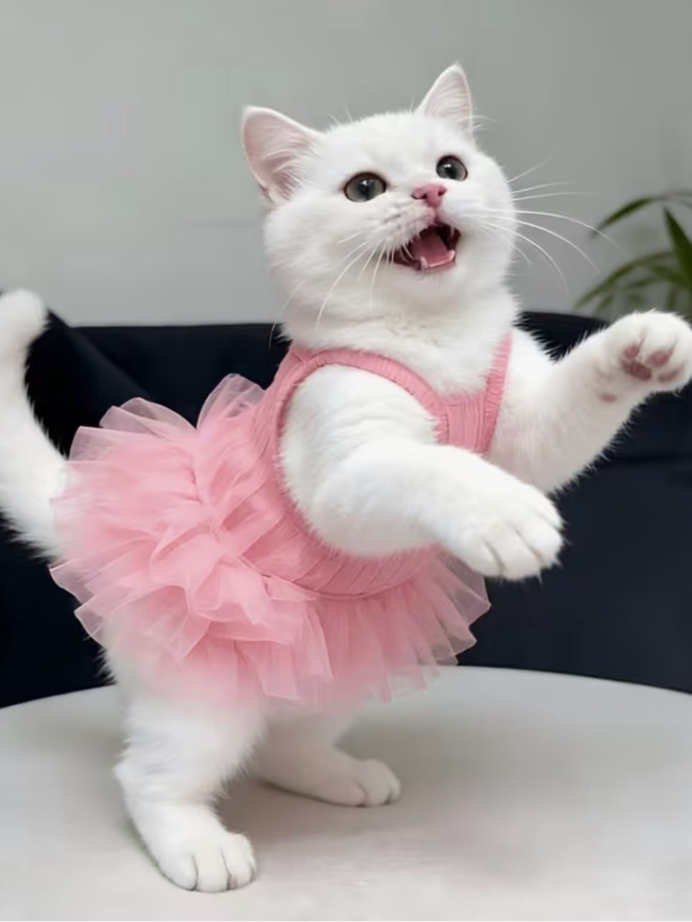 🛍️ 3 for $10 🛍️ Pink Tulle Pet Dress - Elegant Dog or Cat Sundress Tutu - Picture 6 of 10